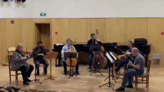 Franz Berwald Grand Septet fragment Bassoon solo [upl. by Zetnas106]