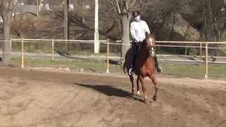 SKJ Poland Park  20140330 trening Pietrewicz Anna Grafit [upl. by Brose787]