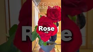 What do you think this Ikebana🌹flowerarrangementtutorial [upl. by Brady780]