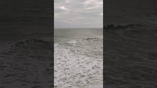 Catching waves and soaking up the sun at Jacksonville Beach 🏄‍♂️ [upl. by Sidon]