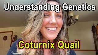 Coturnix Quail Color Genetics  Breeding True [upl. by Nerot]