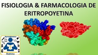 Fisiología Eritrocitos  Eritropoyesis DiferenciaciónRegulación EritropoyetinaHipoxia  Pt2 [upl. by Kcirdneked181]