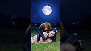 What is😱 this gorilla doing with the girl🔥trendingshorts gorilla calmdown [upl. by Erickson817]