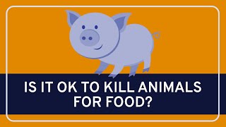 PHILOSOPHY  Ethics Killing Animals for Food HD [upl. by Layap748]