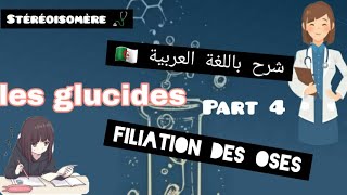 les glucides filiation des oses  part 4 [upl. by Adnarrim]