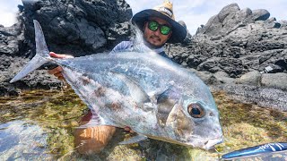 What Did I Just Catch Landbase Fishing in Samoa Catch and Cook [upl. by Whitford851]