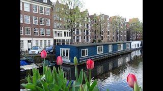 Tulpentijd 2024 Tulpen uit Amsterdam  Annie Palmen [upl. by Aynosal420]