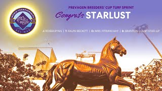 2024 Prevagen Breeders Cup Turf Sprint  Starlust [upl. by Violante311]