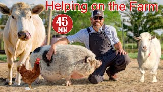 Helping a Farmer Feed and Care For His Animals Educational Farm Video For Kids [upl. by Ylek]