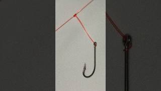 The easiest basic fishing line for beginnersfishingknots fishingknotfishing [upl. by Cassady]