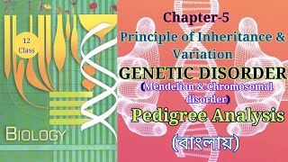 Class 12 genetic Disorder জীনগত রোগ theory fromncertbiology Harunbiozone [upl. by Brose467]