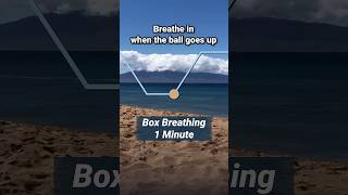 1 Minute Breathing Exercise Box Breathing [upl. by Wivina]