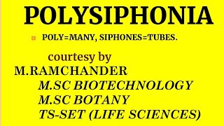 Polysiphonia life cycle for english medium [upl. by Mudenihc]