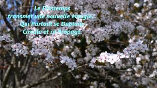 Le Retour du Printemps [upl. by Gibby]