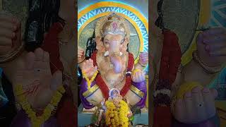 Deva Shri Ganesha 🙏🌹 music song [upl. by Anaerol272]