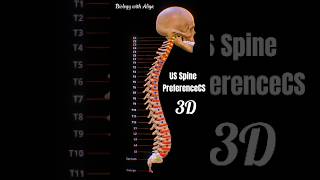 US Spine PreferenceCS medical animation 3d short  BiologywithAliya [upl. by Bridgette776]