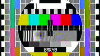 BskyB Testcard [upl. by Angi226]