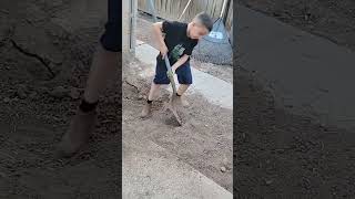 how to dig a hole with a shovel [upl. by Htebzil]