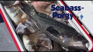 Fishing for Porgy Scup amp Black Sea Bass out of Hyannis Massachusetts [upl. by Elsinore227]