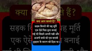 Intersting facts in hindi😯facts hindi youtubeshorts [upl. by Meriel10]