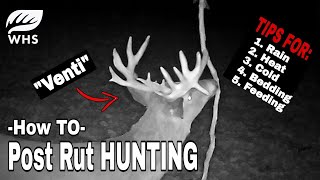 How To Hunt The Post Rut [upl. by Ahsinrev47]