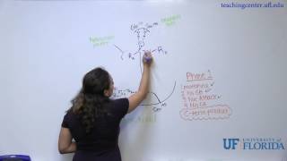 Chymotrypsin Mechanism [upl. by Ellary127]