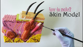 How to make Skin Craft Model [upl. by Ultun800]