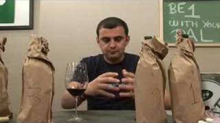 15 Zinfandel Blind Tasting  Episode 473 [upl. by Septima]