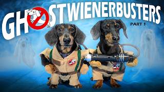 Ep 4 GHOSTWIENERBUSTERS  Funny amp Spooky Dog Video for Halloween [upl. by Fadden]