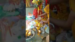 trending shorttodays Tulsi Puja [upl. by Norbie801]