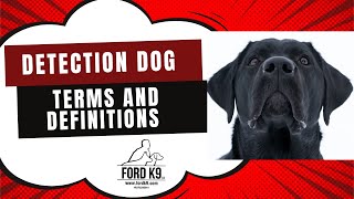 K9 Detection Dog Terms and Definitions [upl. by Lyndel]