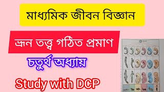 অভিব্যক্তি স্বপক্ষে ভ্রুণতত্ত্ব গঠিত প্রমাণ। মাধ্যমিক জীবন বিজ্ঞান। চতুর্থ অধ্যায়। [upl. by Aztirak31]