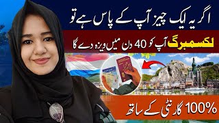 Luxembourg🇱🇺 Work Visa How to apply Online 2024 europe job [upl. by Adnilec615]