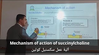 Mechanism of action of succinylcholine Suxamethonium آلية عمل سكسنيل كولين [upl. by The]