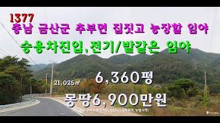 번호 1377충남 금산군 추부면 집짓고 농장할 임야 급매물 [upl. by Gulgee]