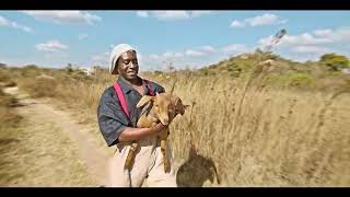 Baba Harare  Tsamba Yerufu Official Video [upl. by Anicul]