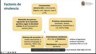 Aeromonas SPP  posgrado Infectología UNAL [upl. by Etz]