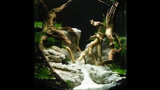 Aquascape Aquarium Setup Manten Stone ADA [upl. by Ecyak770]