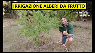 Come e Quando IRRIGARE gli ALBERI da FRUTTO in ESTATE  Tutorial Agricoltura e Giardinaggio [upl. by Ettennad]