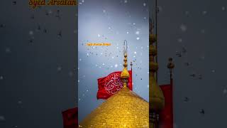 Mera Badshah Hussain Hai  Aisa Badshah Hussain Hai  Imam Teesra Hussain Hai  Muharram Status [upl. by Jepum965]