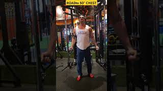 ROAD TO 50quot CHEST aansul888 chest chestexercises [upl. by Nesahc394]