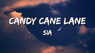 Sia  Candy Cane Lane Lyrics [upl. by Enitnatsnoc631]