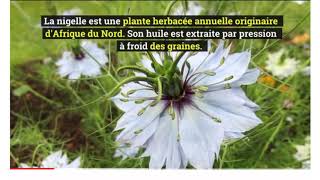 A quoi sert l’huile de Nigelle [upl. by Harsho]