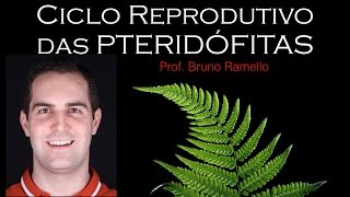 Ciclo Reprodutivo das Pteridófitas  YES Biologia com Prof Bruno Ramello [upl. by Itsyrc607]