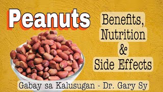 MANI Peanuts Health Benefits Nutrition amp Side Effects  Dr Gary Sy [upl. by Fanchet147]