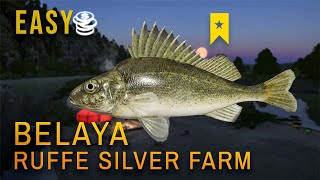 LOW LEVEL MONEY MAKING GUIDE RUFFE FARMBELAYA RIVER Russian Fishing 4 [upl. by Nylkoorb]