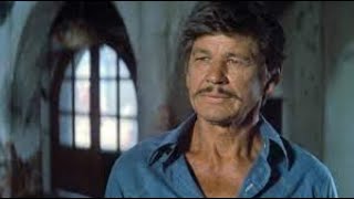 Caboblanco Full Movie Facts amp Review in English  Charles Bronson  Jason Robards [upl. by Llerad]