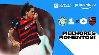 PALMEIRAS 1 X 0 FLAMENGO  Melhores Momentos  Copa do Brasil 2024 [upl. by Winters]