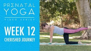 Week 12  Cherished Journey  Prenatal Yoga Series [upl. by Zehcnas]