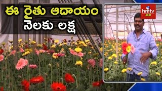 Gerbera Cultivation in Polyhouse  hmtv Agri [upl. by Savina378]